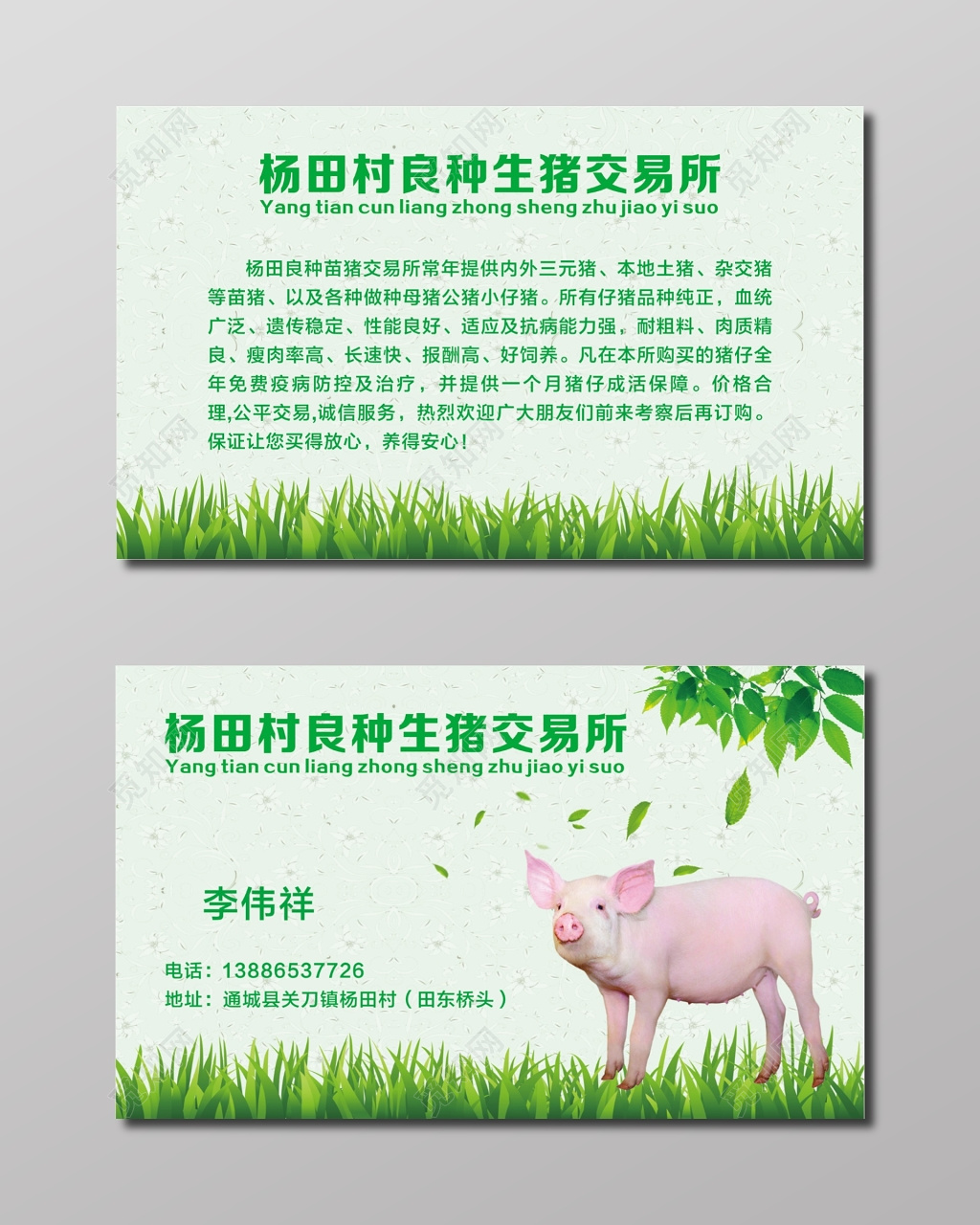 猪肉名片生猪交易所名片