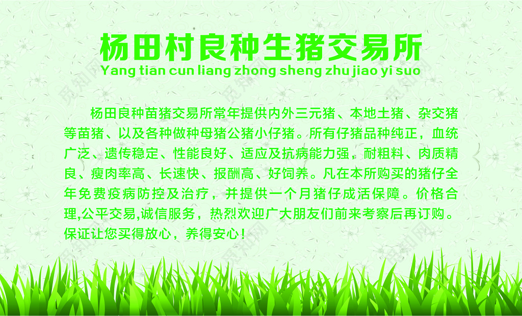 猪肉名片生猪交易所名片