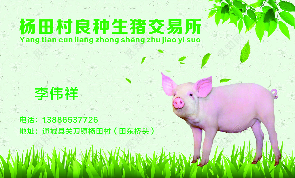 猪肉名片生猪交易所名片