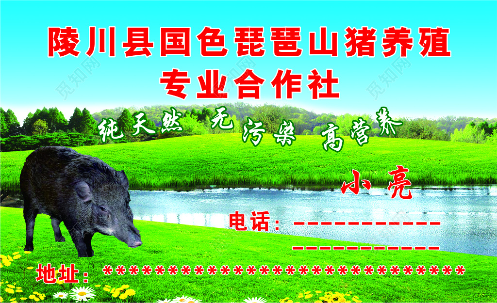 猪肉名片野猪肉销售名片
