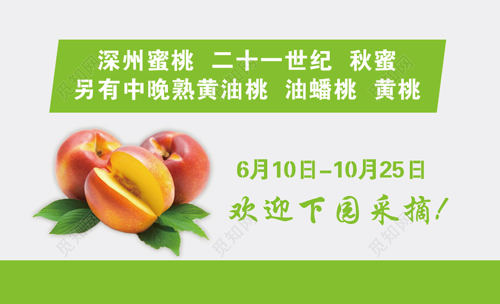 水果名片简约绿色桃园采摘