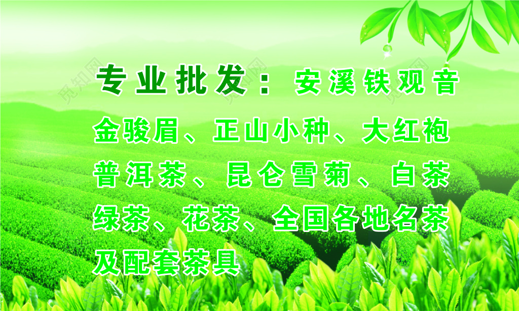 茶叶名片专业批发