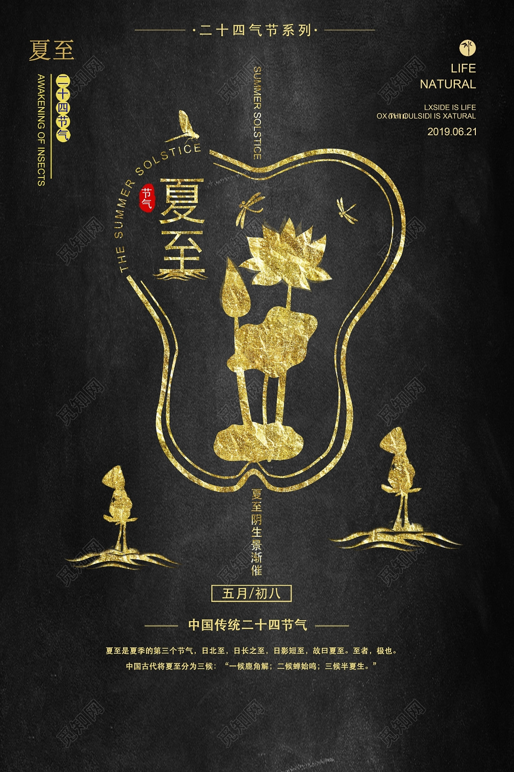 黑色高端大气二十四节气夏至季节海报