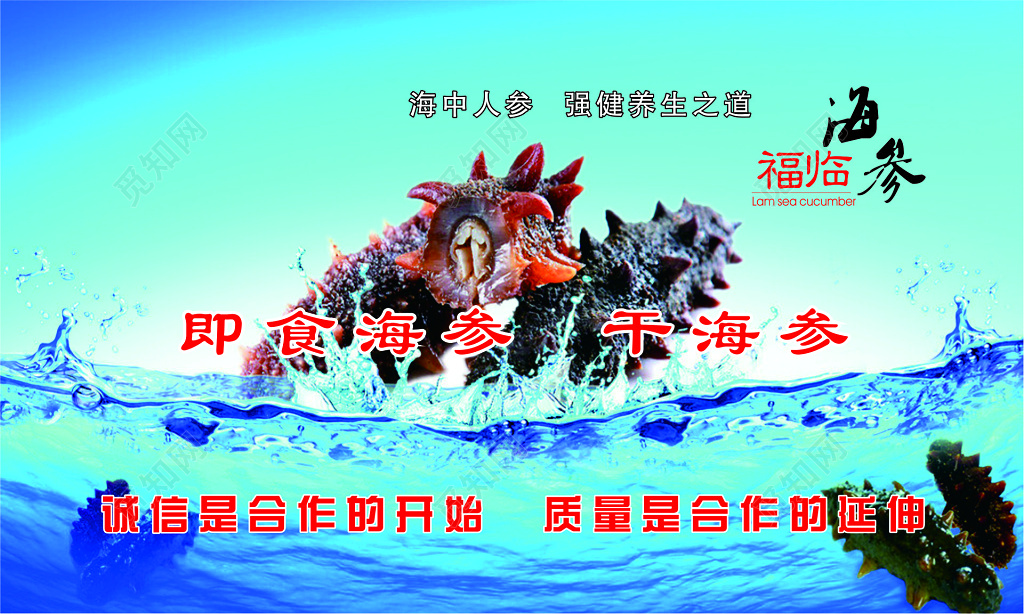 海参名片干货海参名片