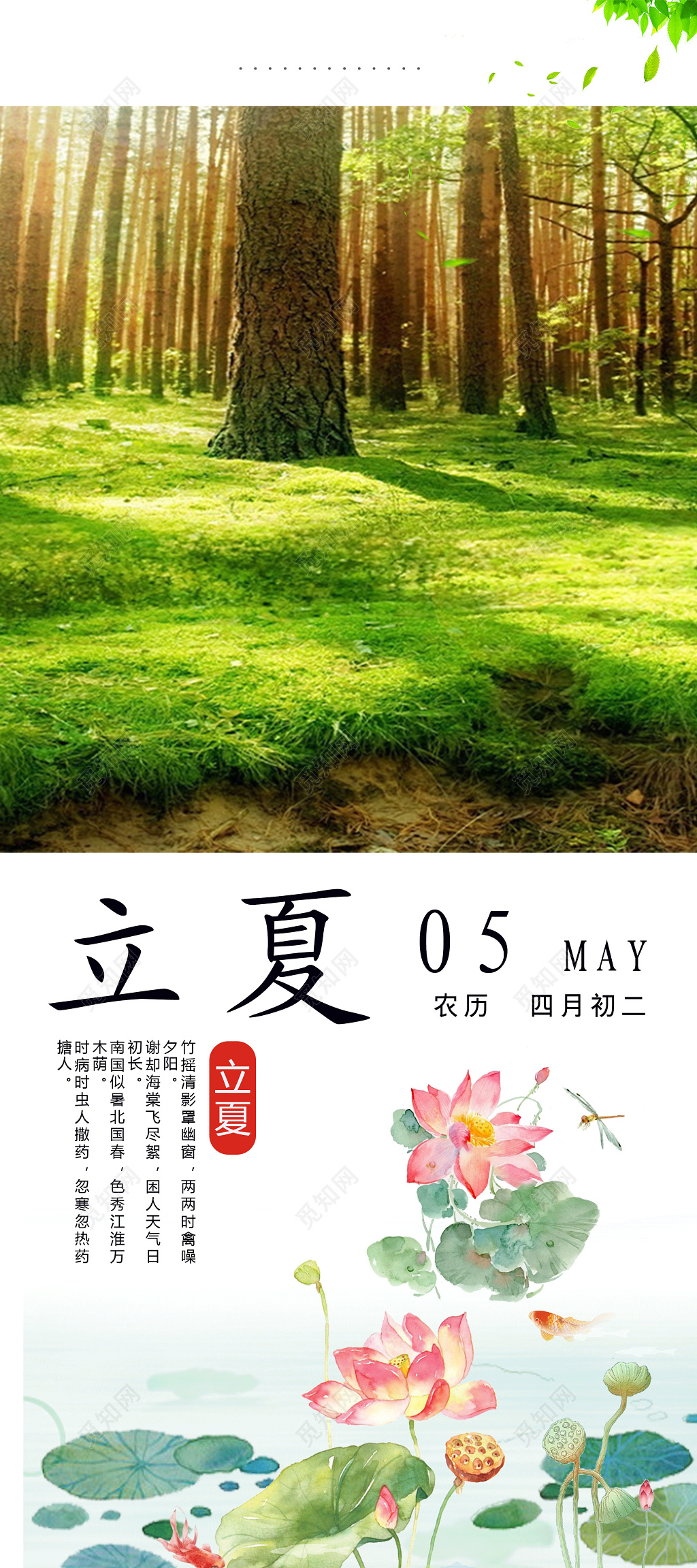 24节气绿色清新中国传统节日二十四节气立夏促销展架易拉