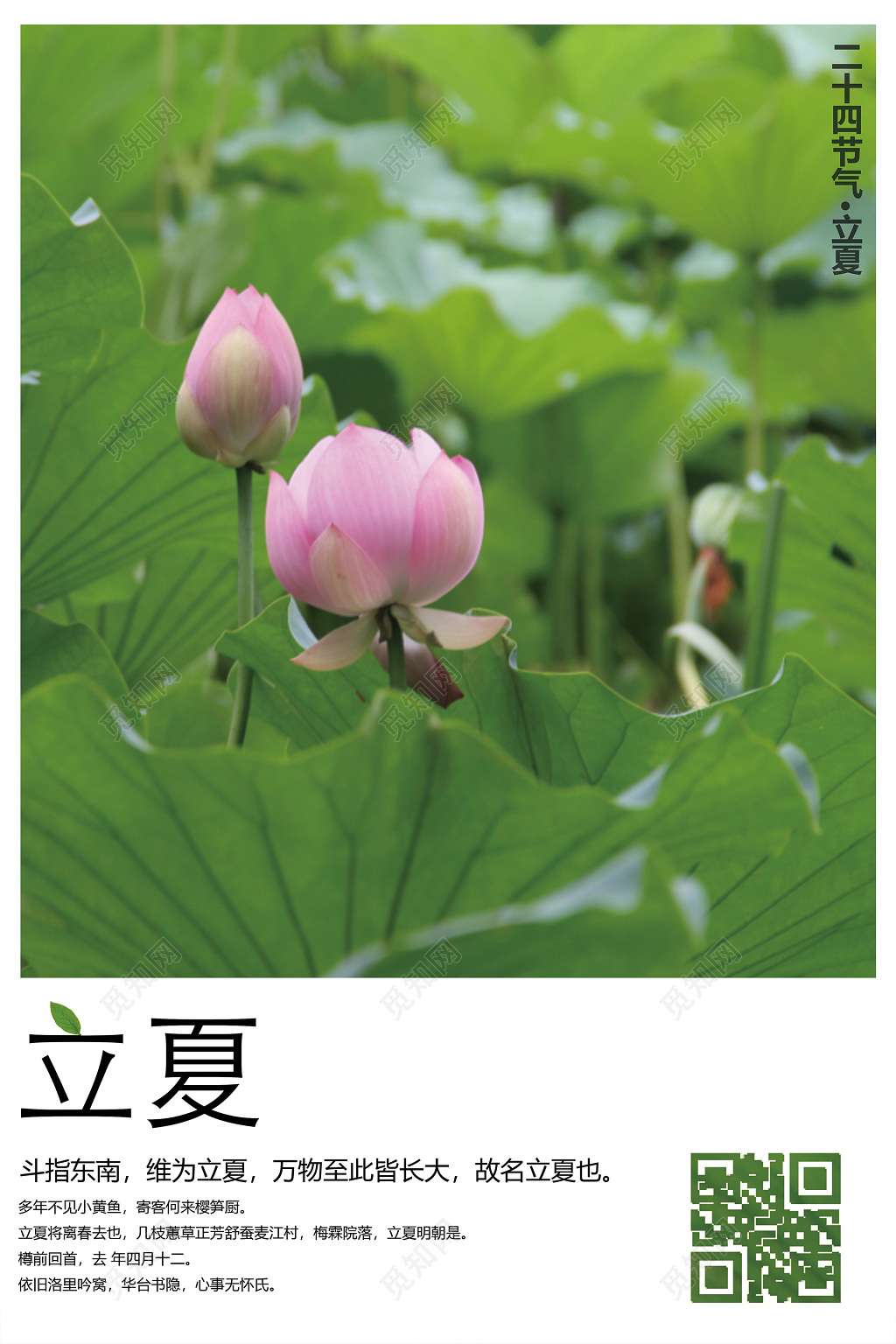 二十四节气之立夏农历节气宣传绿色海报