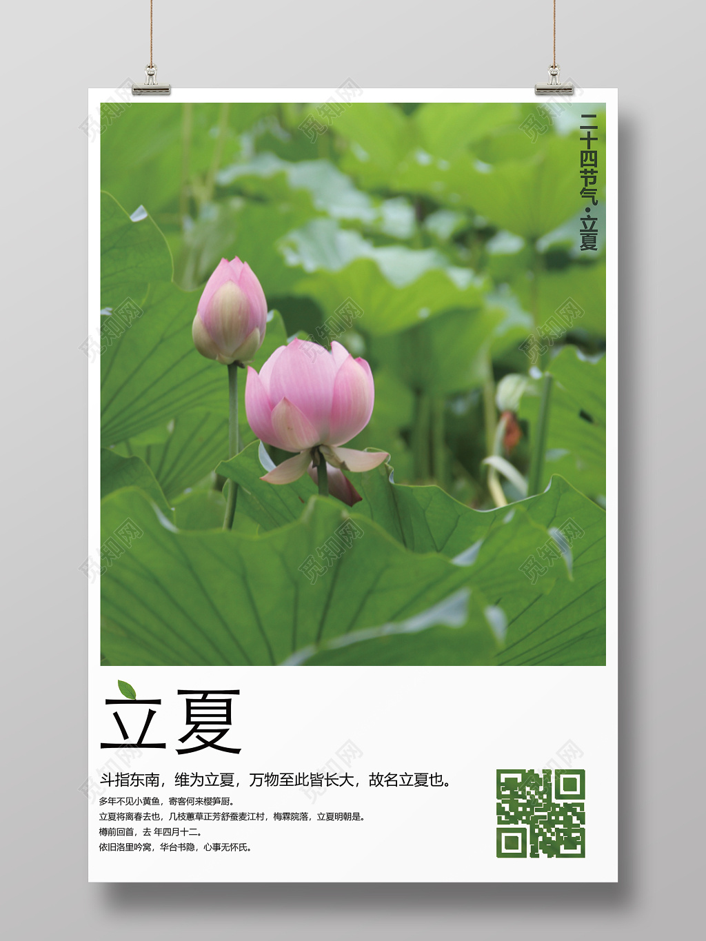 二十四节气之立夏农历节气宣传绿色海报