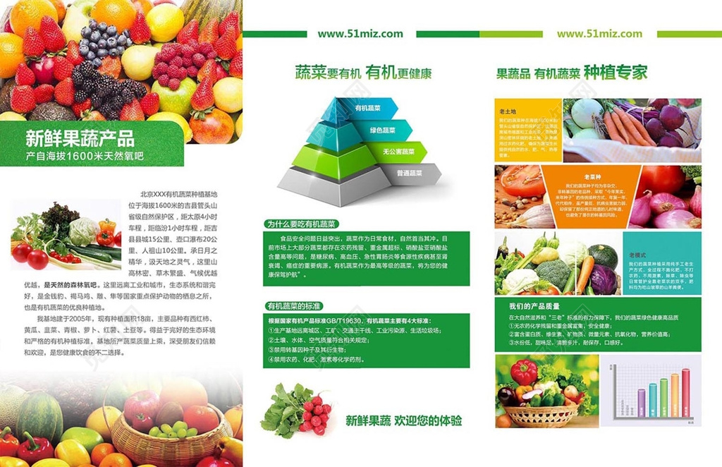 生鲜质感绿色促销三折页水果水果店鲜果促销折页三折页