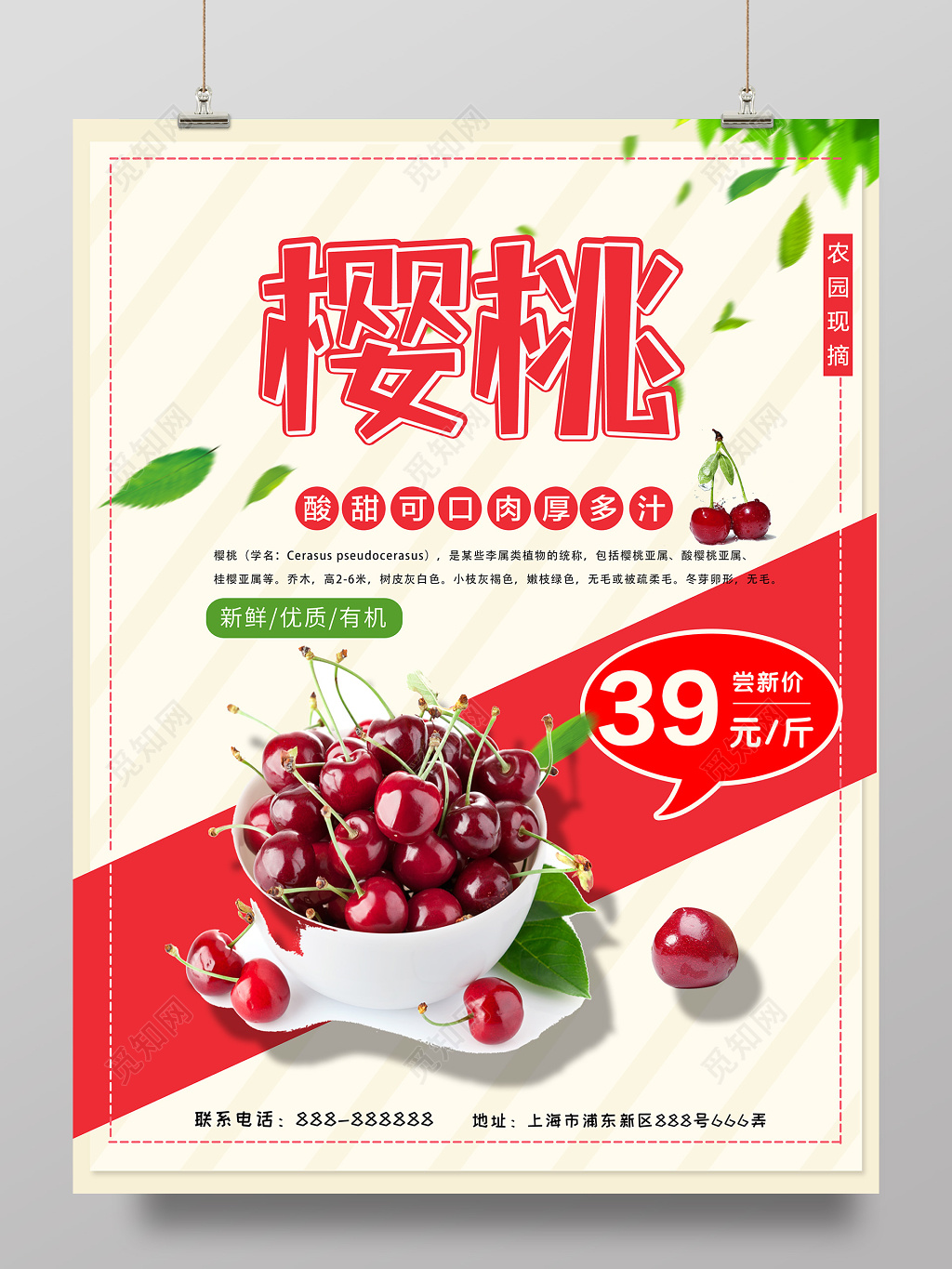 红色简约农园现摘酸甜可口新鲜樱桃水果海报