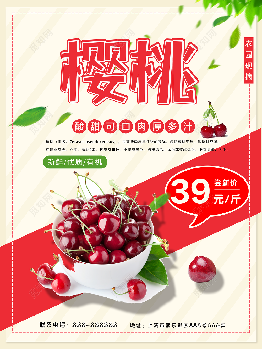 红色简约农园现摘酸甜可口新鲜樱桃水果海报