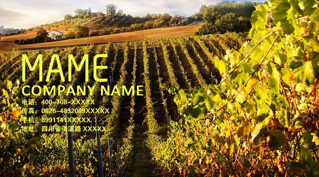 葡萄酒名片复古质感名片设计模板