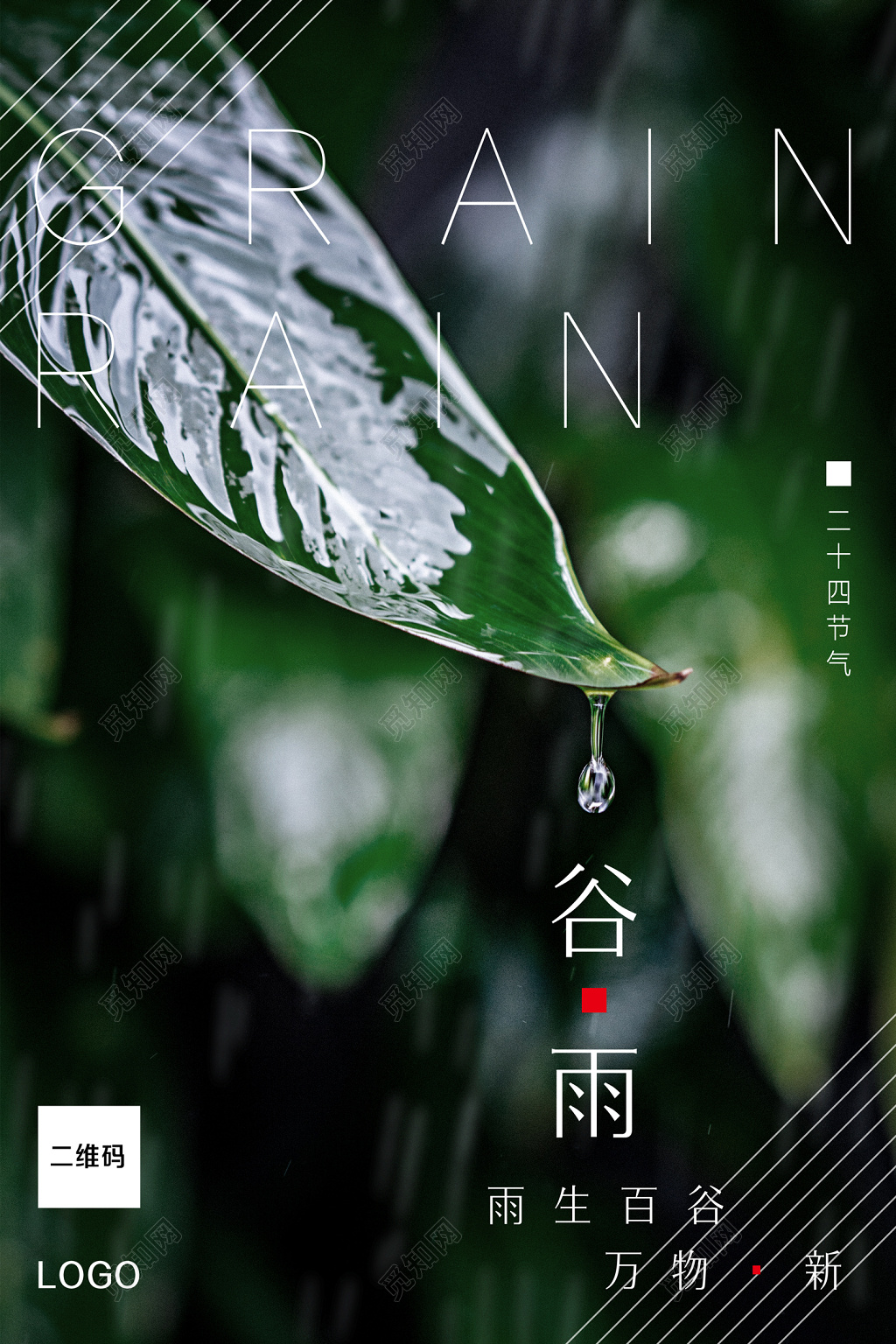 24节气唯美绿叶照片谷雨节气二十四节气海报