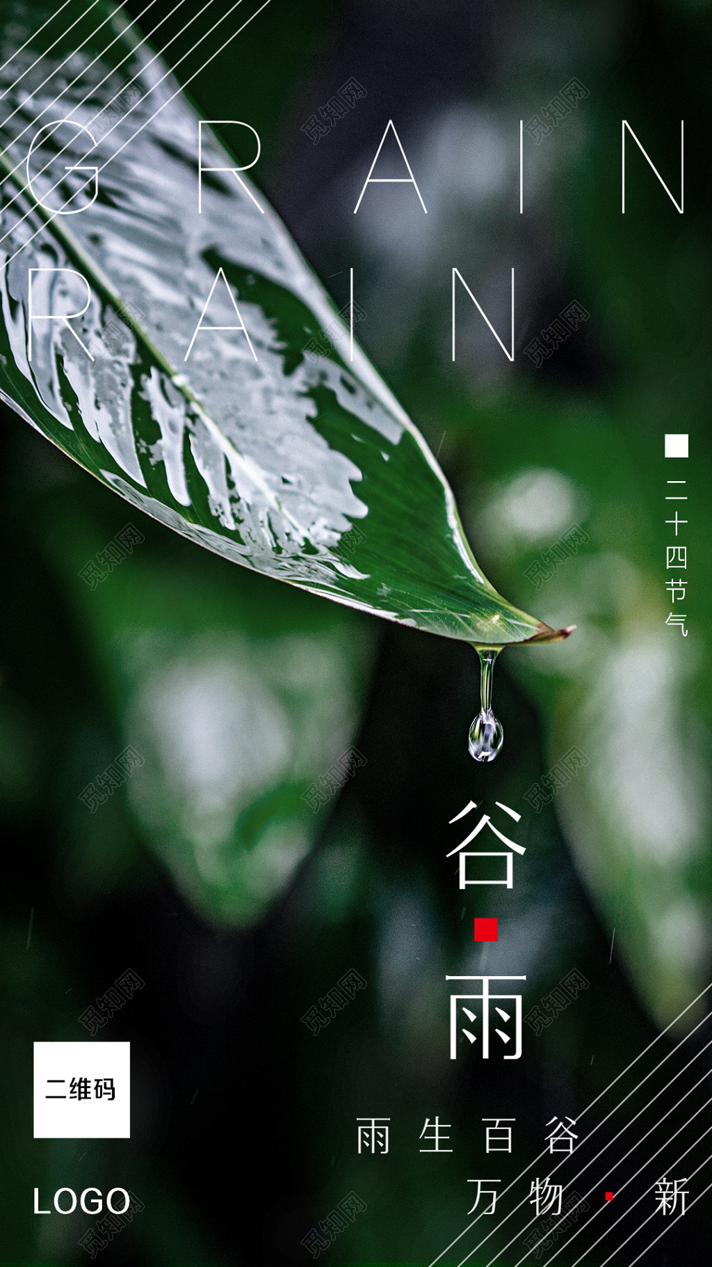 24节气唯美绿叶照片二十四节气海报谷雨节气手机海报