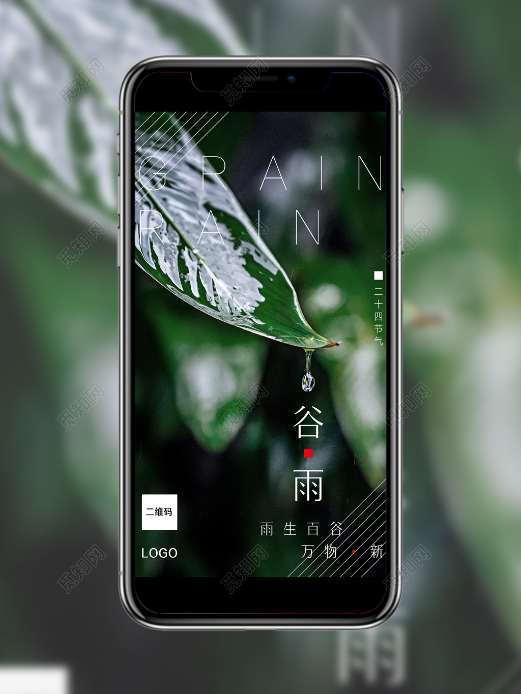 24节气唯美绿叶照片二十四节气海报谷雨节气手机海报