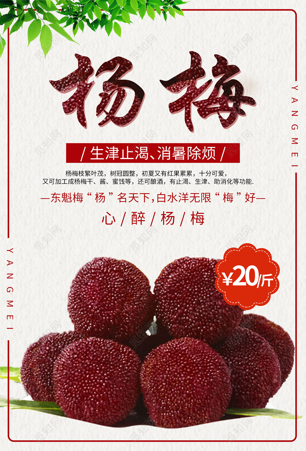 创意生津止渴杨梅水果宣传海报