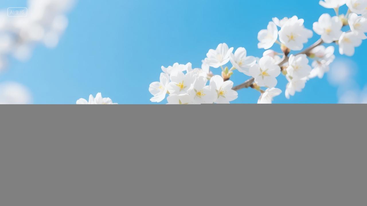 春分节气樱花蓝天白云盛开浪漫春天背景