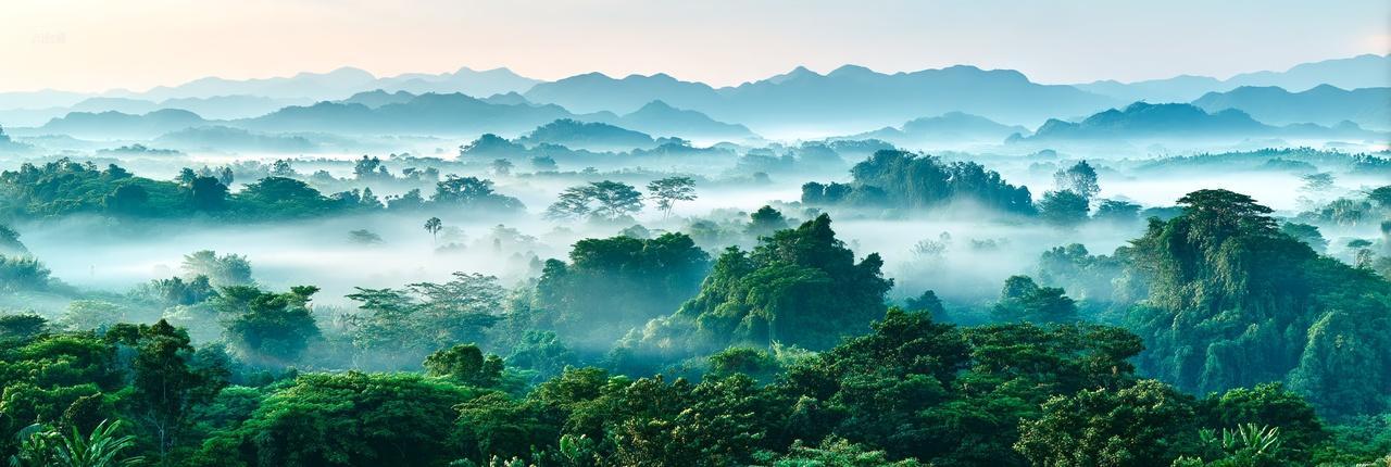 雾隐千山绿境无界层叠山脉与迷雾森林的静谧叙事