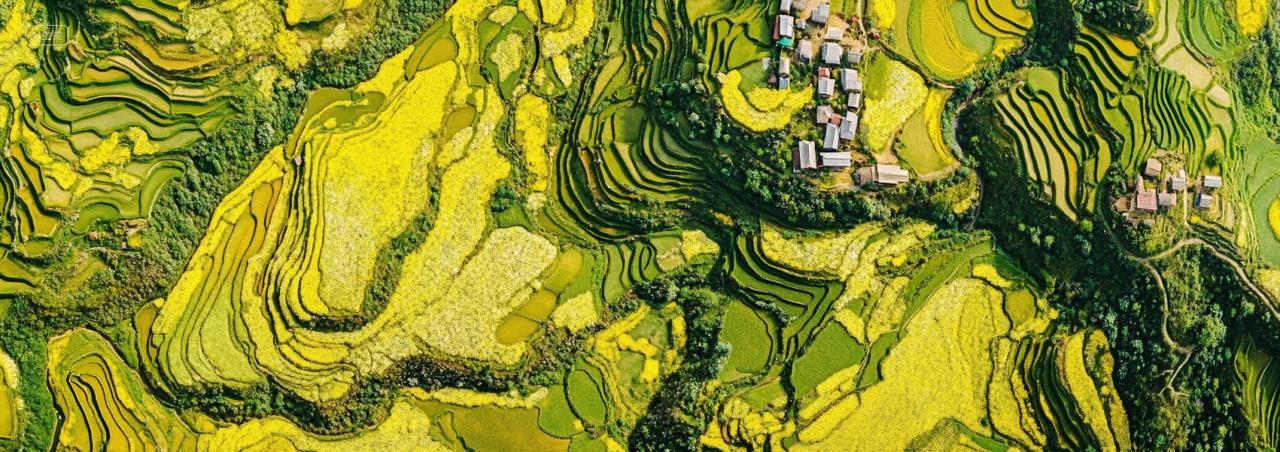 春天立春春分乡村田野土地农田绿色村庄鸟瞰实景风景图