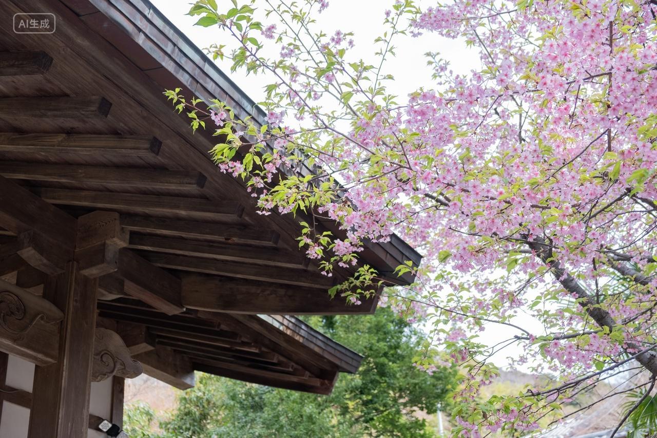 日本樱花古建筑神社旅游摄影大自然盛开的樱花树