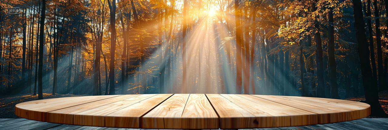 秋林光绘电商舞台沐秋色