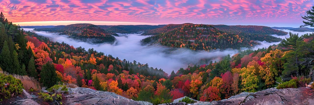 秋野仙踪粉色天空下的斑斓林海