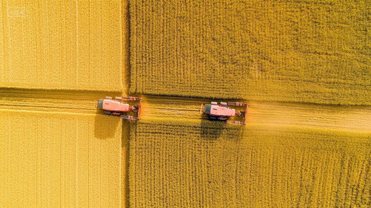 秋收时节的田野收割机麦田稻田稻谷农业丰收