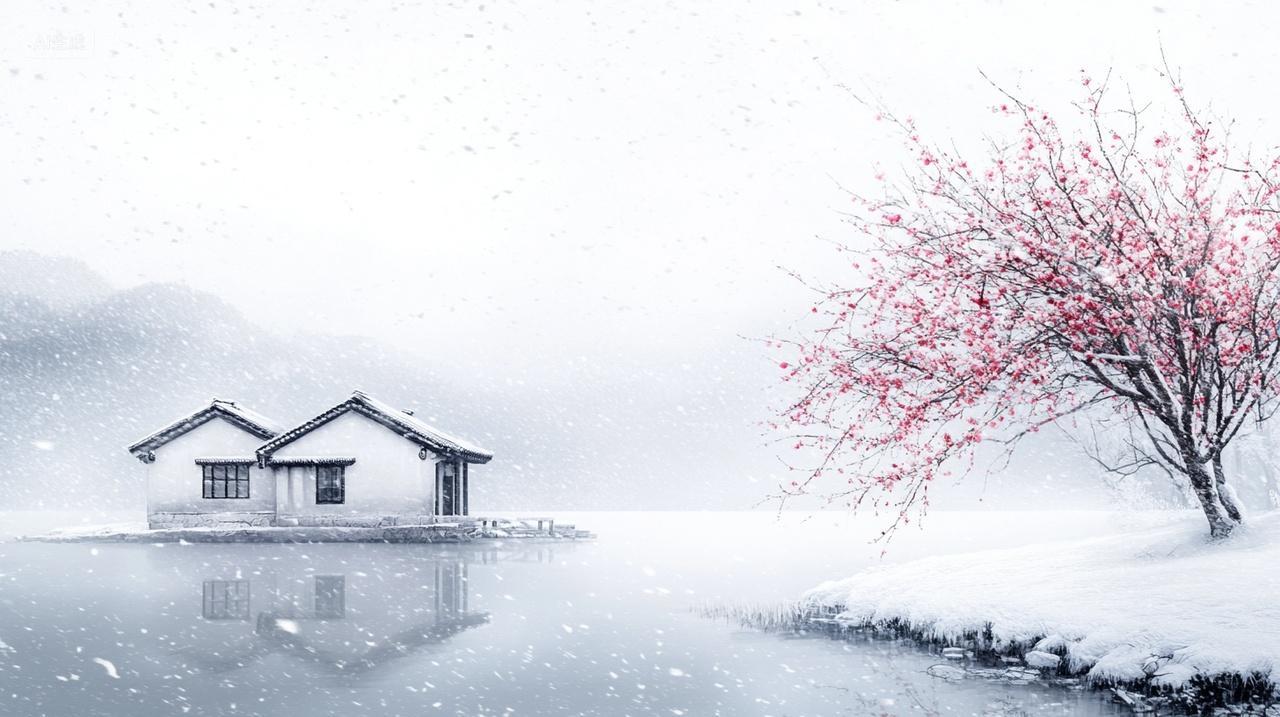 冬季雪景梅花简约优雅中国风雪屋梅树梦幻静谧小雪大雪立冬至插画