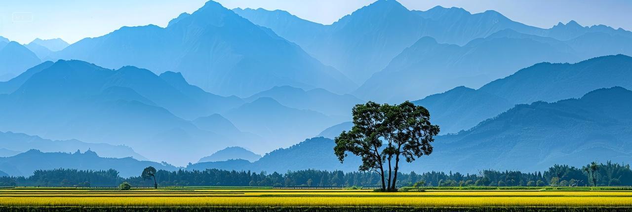 秋天金黄稻田山脉航拍丰收自然风光