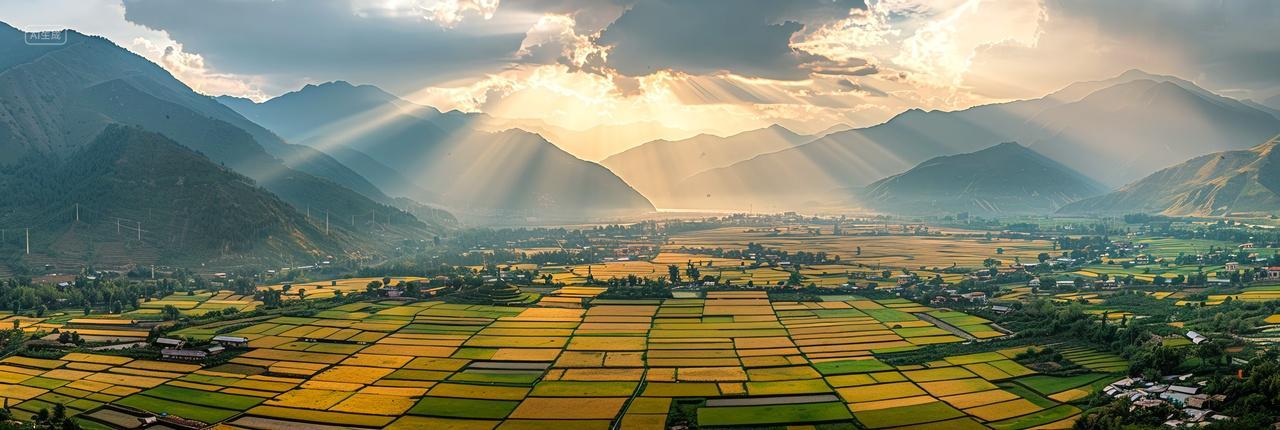 秋天金黄稻田山脉航拍丰收自然风光