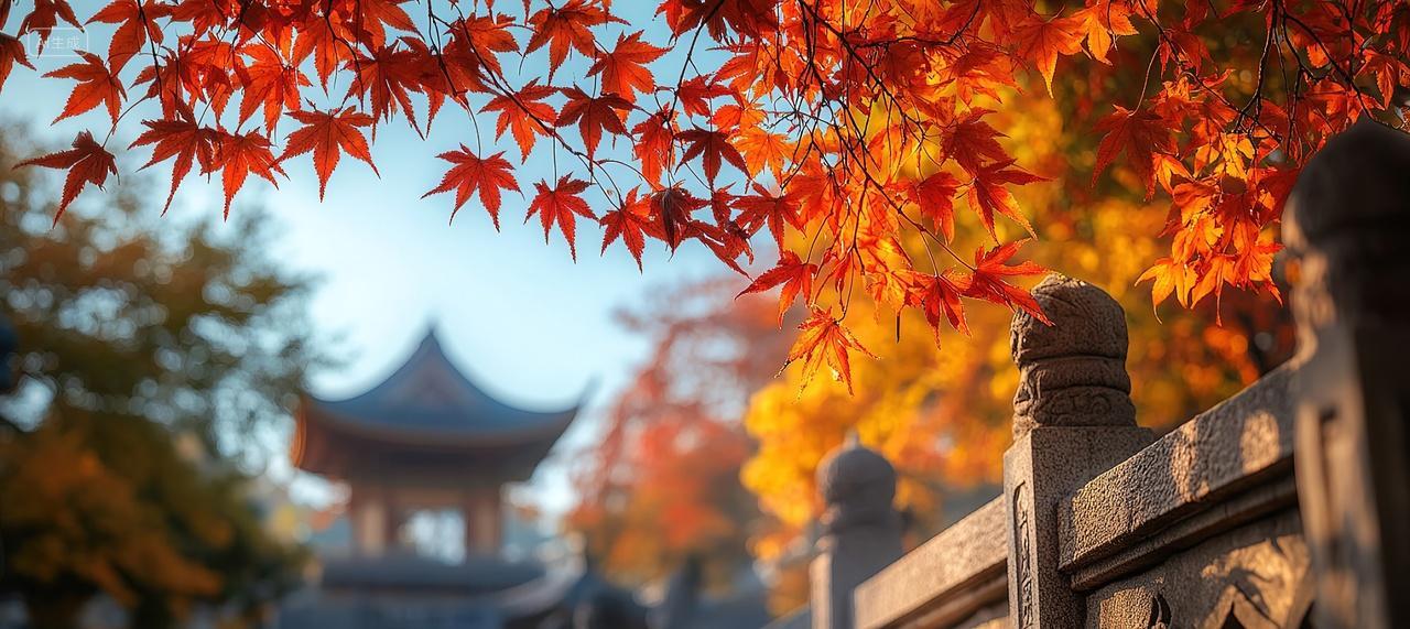 中式建筑枫树背景