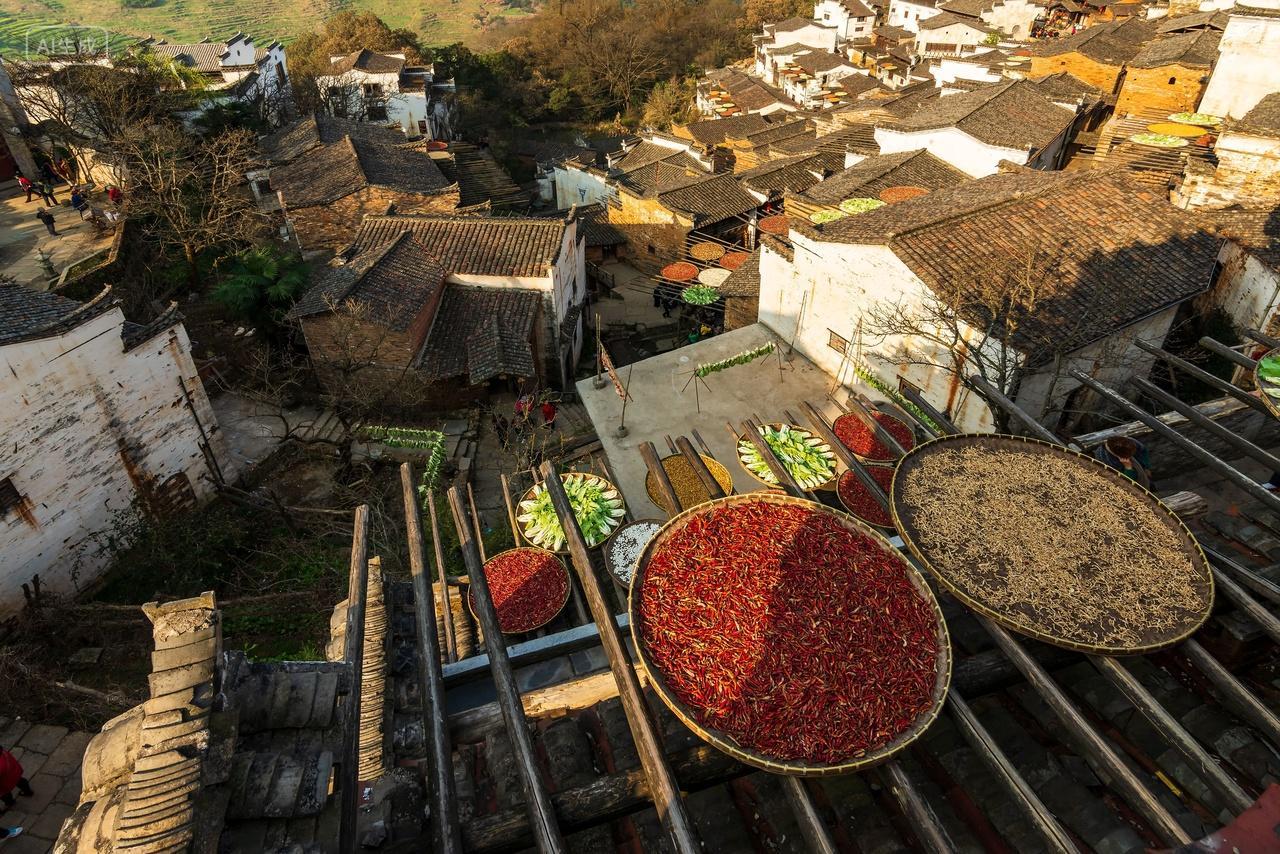农村晒粮食辣椒丰收婺源篁岭