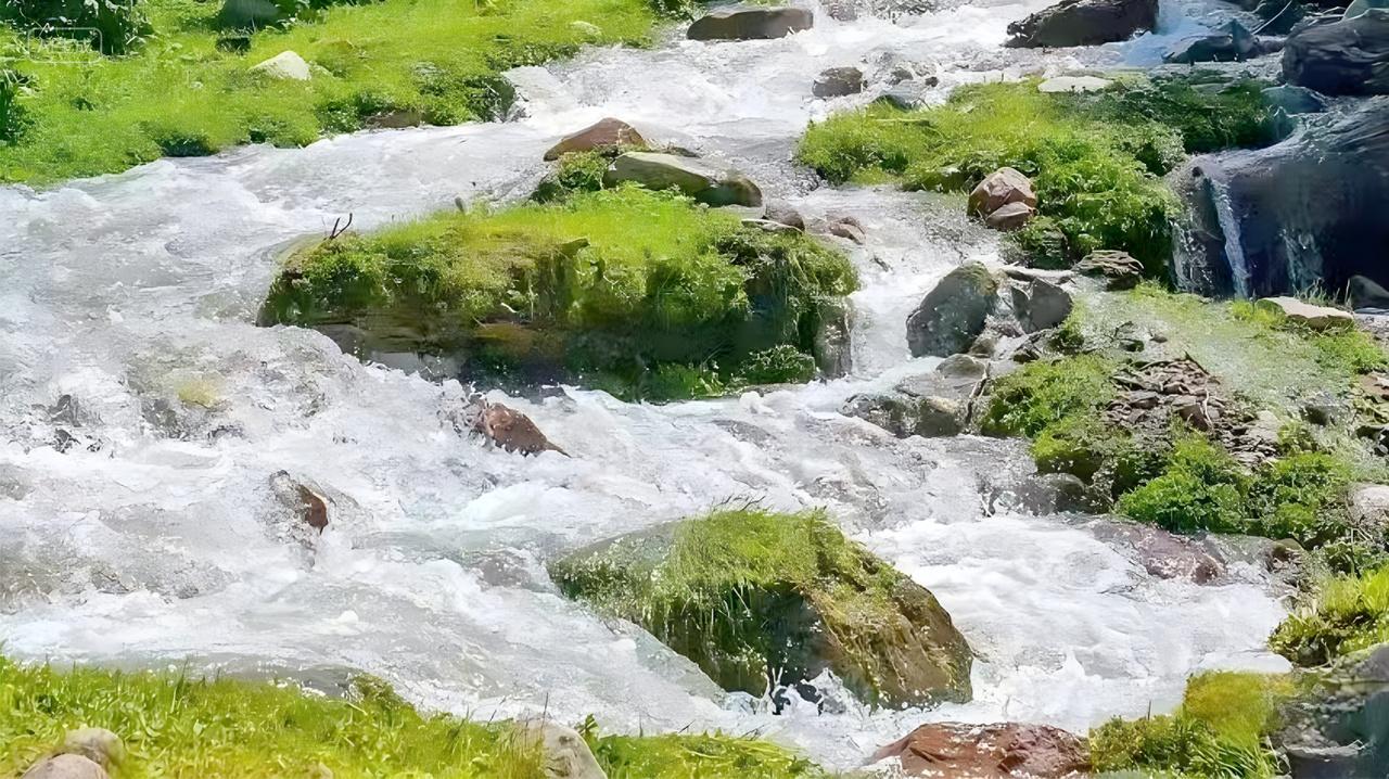 清澈的小溪流水长着青苔的石头户外露营宣传图片