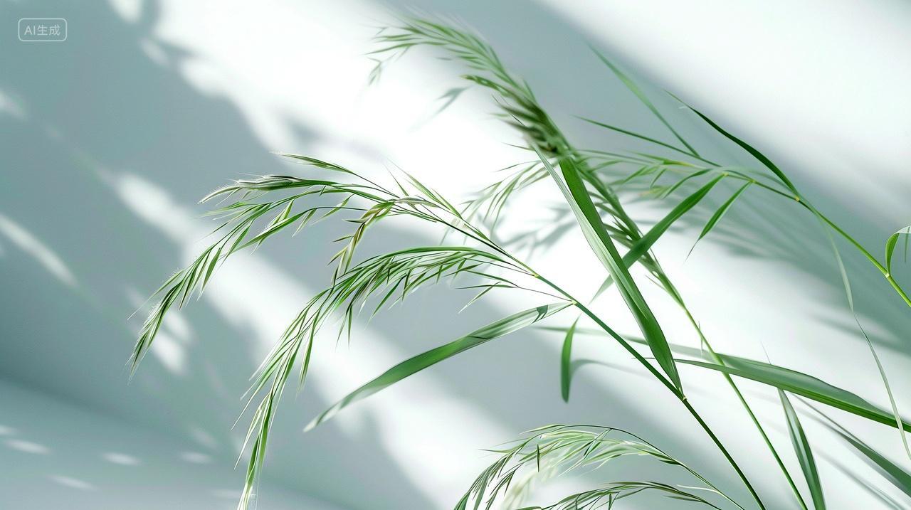 野生燕麦简约背景艺术气息