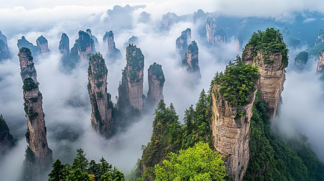 湖南张家界云海雾山峰山顶树林中国自然风景