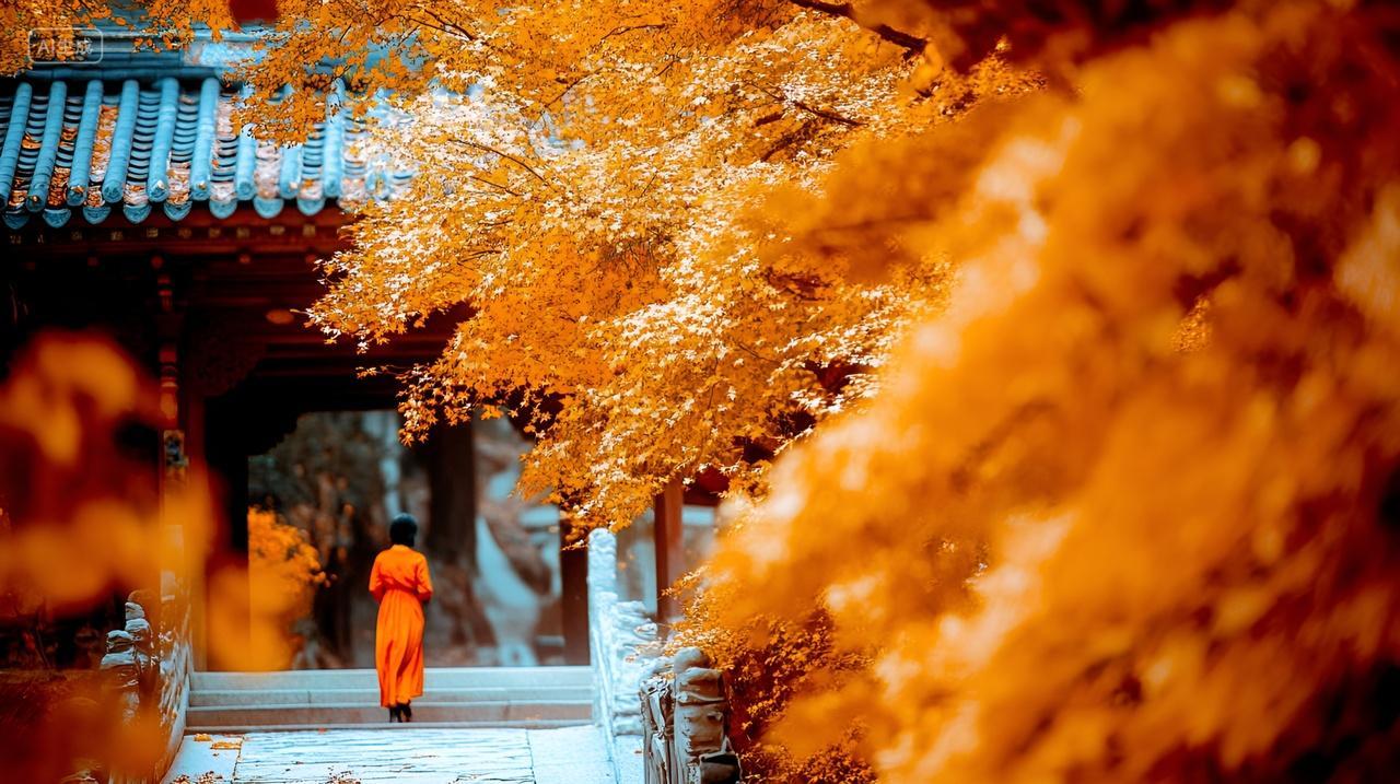 秋日禅意金秋古寺院禅房寺庙红衣女子背影