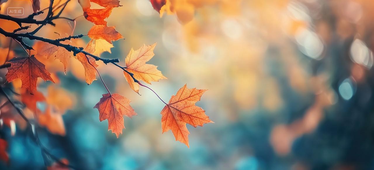 唯美枫叶二十四节气背景