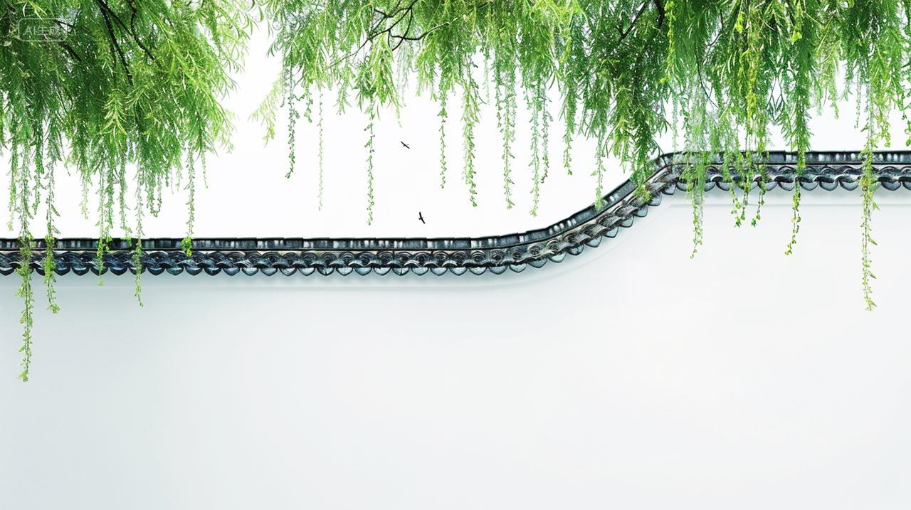 实拍柳枝垂在古镇墙壁上徽派中式建筑