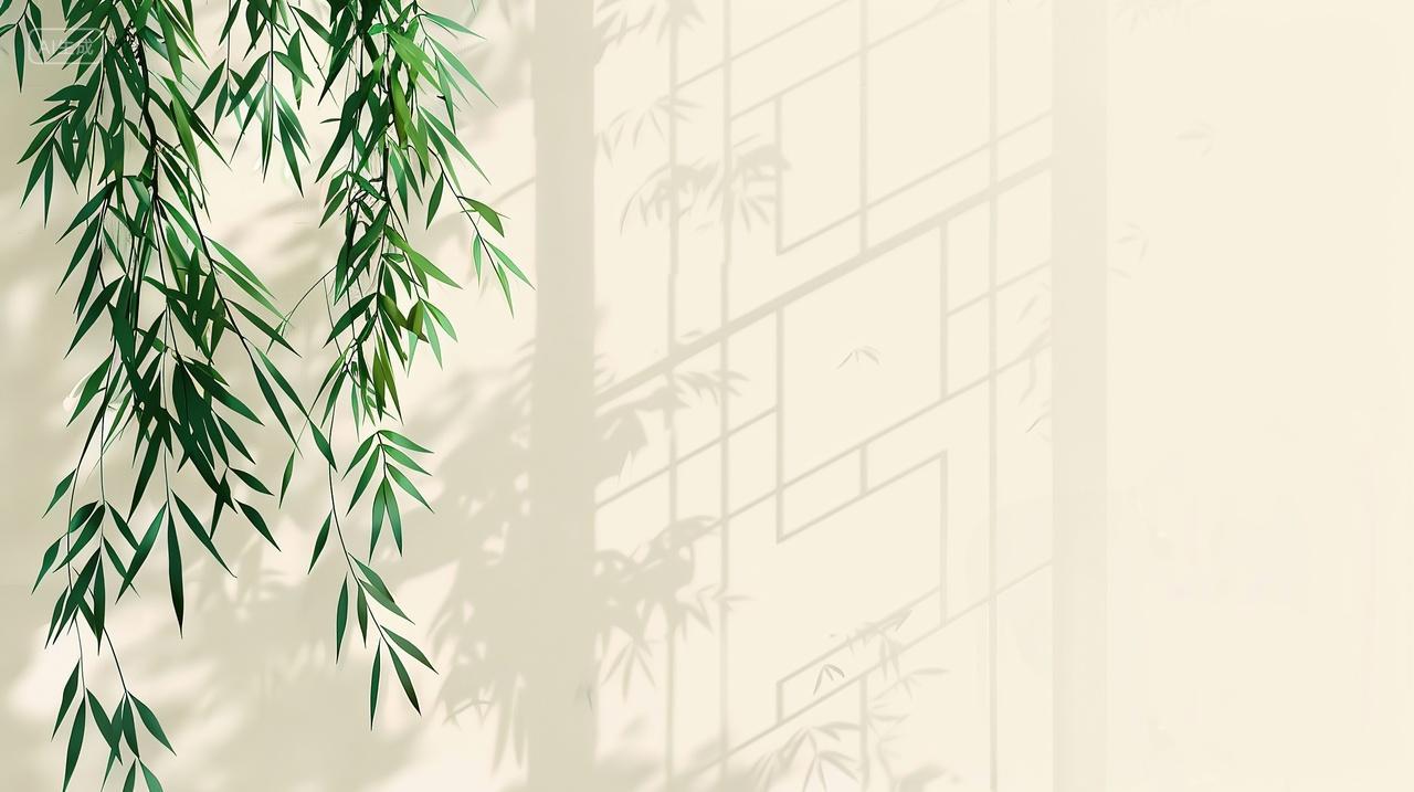 柳枝在阳光下的光影