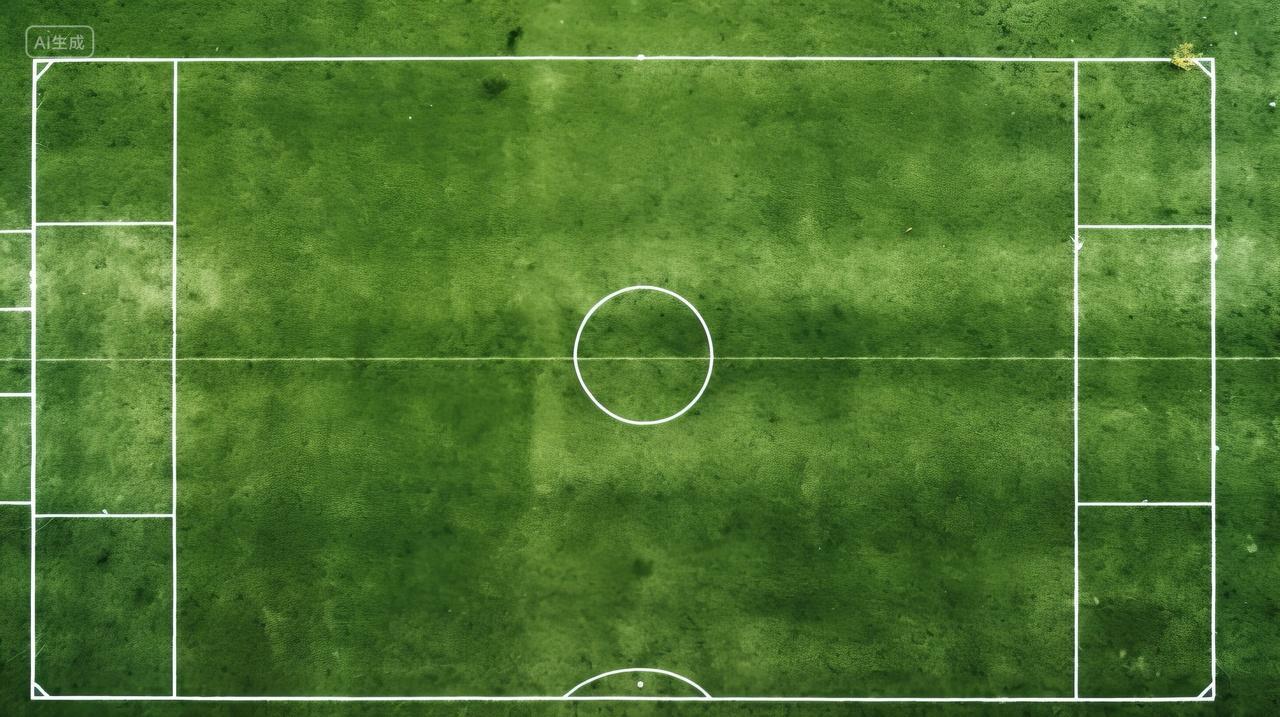 球场运动场正上方视角航拍