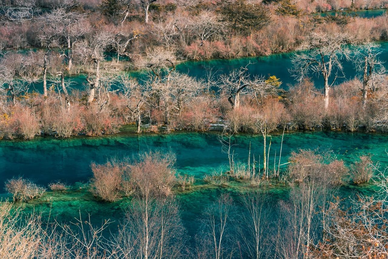九寨沟冬季风光