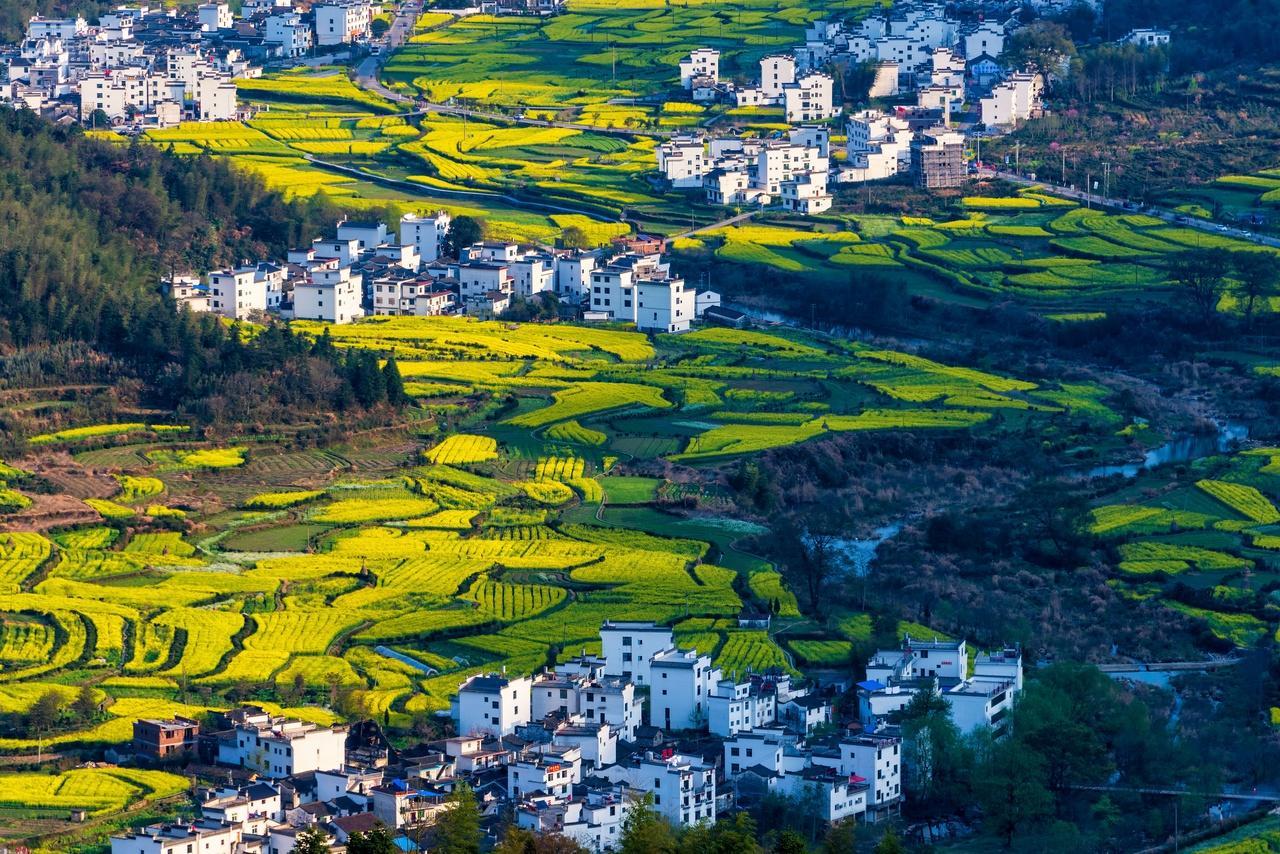 乡村农田房子乡村振兴农业婺源江岭