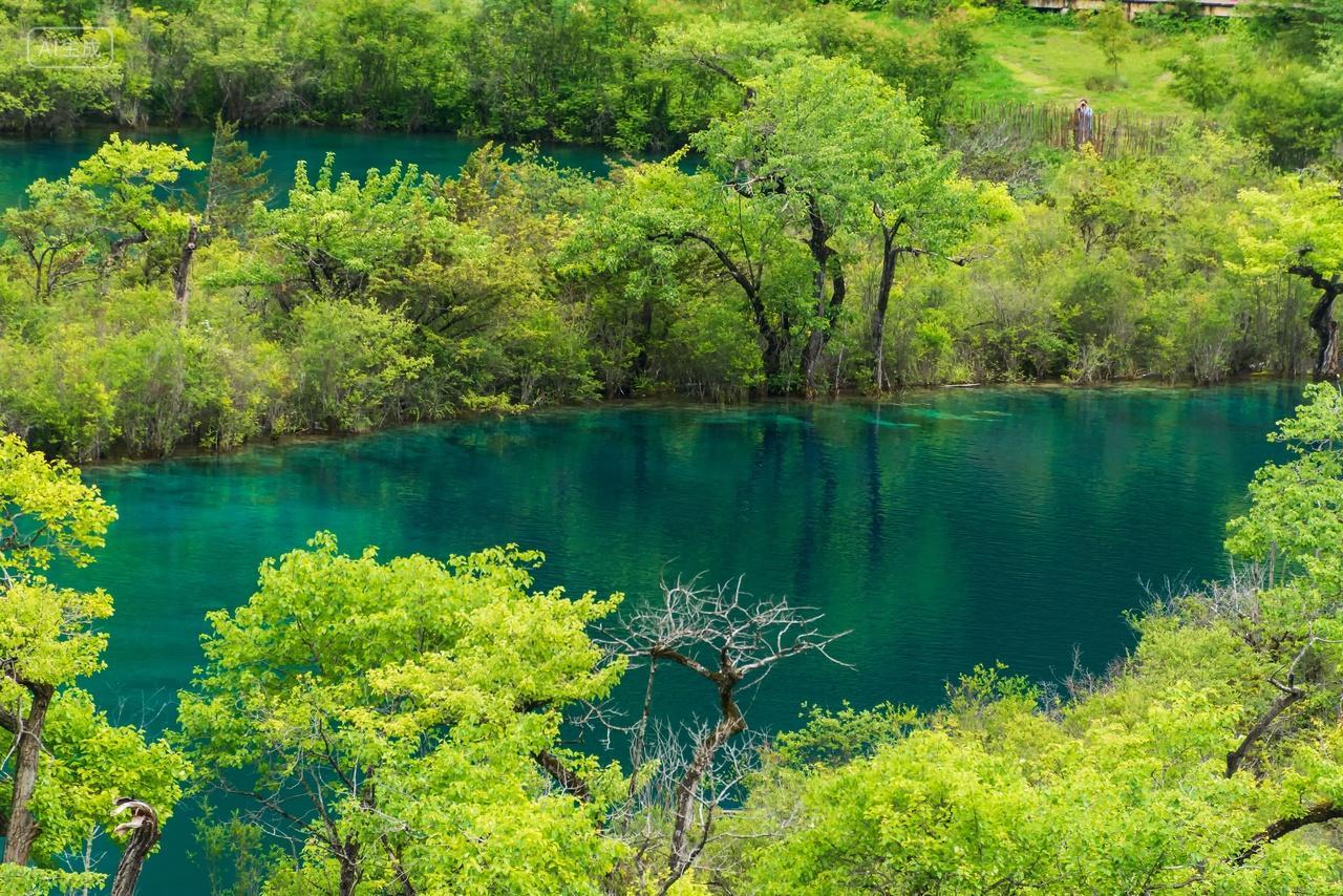 九寨沟夏季风光