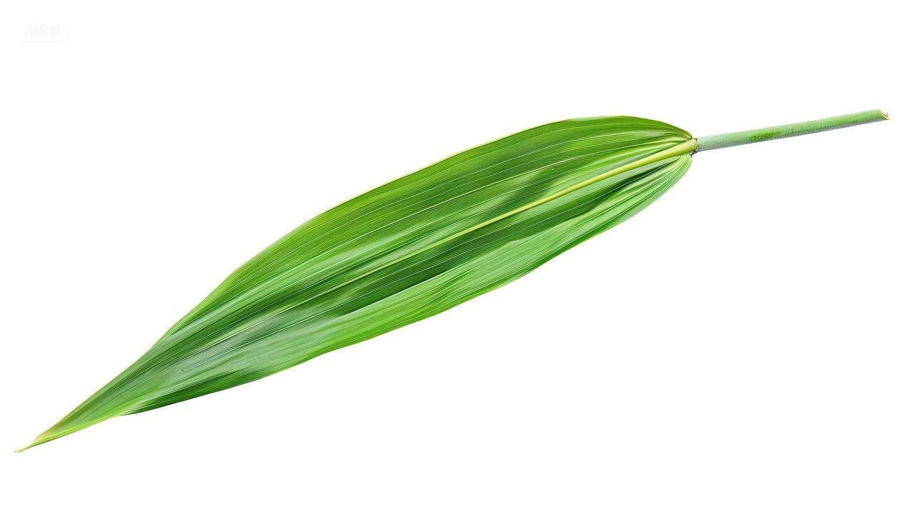 端午节粽叶端午节粽子