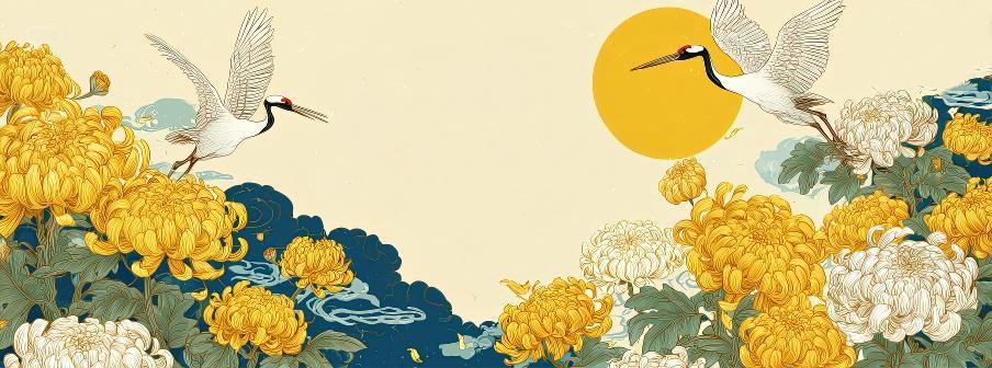 菊花白鹤二十四节气立秋秋分包装海报背景