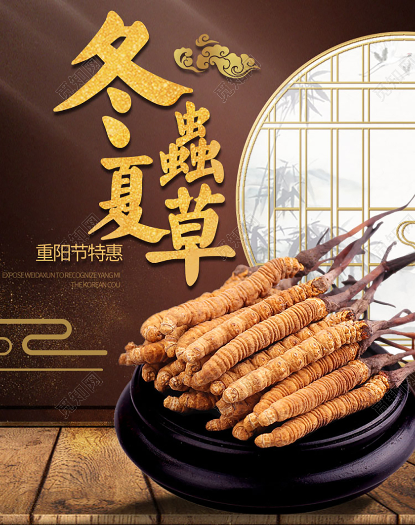 电商淘宝重阳节冬虫夏草保健品通用海报