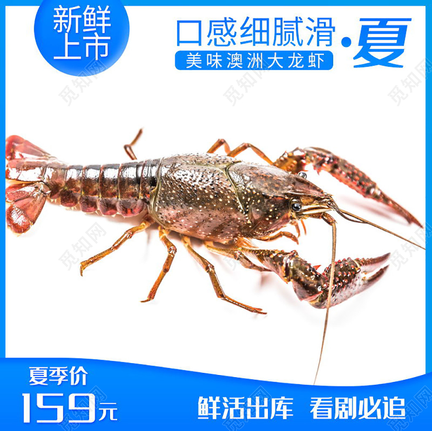 蓝色清新风淘宝电商龙虾生鲜海鲜美食上新促销活动主图直通车