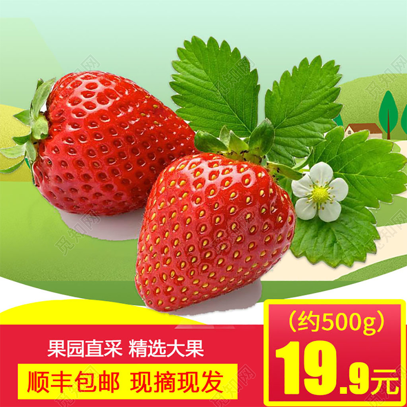 绿色系 活泼风果园直采精选大果草莓顺风包邮现摘现发促销主图