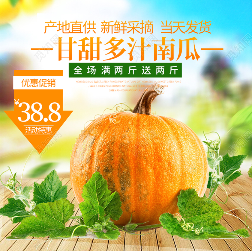绿色小清新主图框直通车促销活动甘甜多汁南瓜美食食物主图