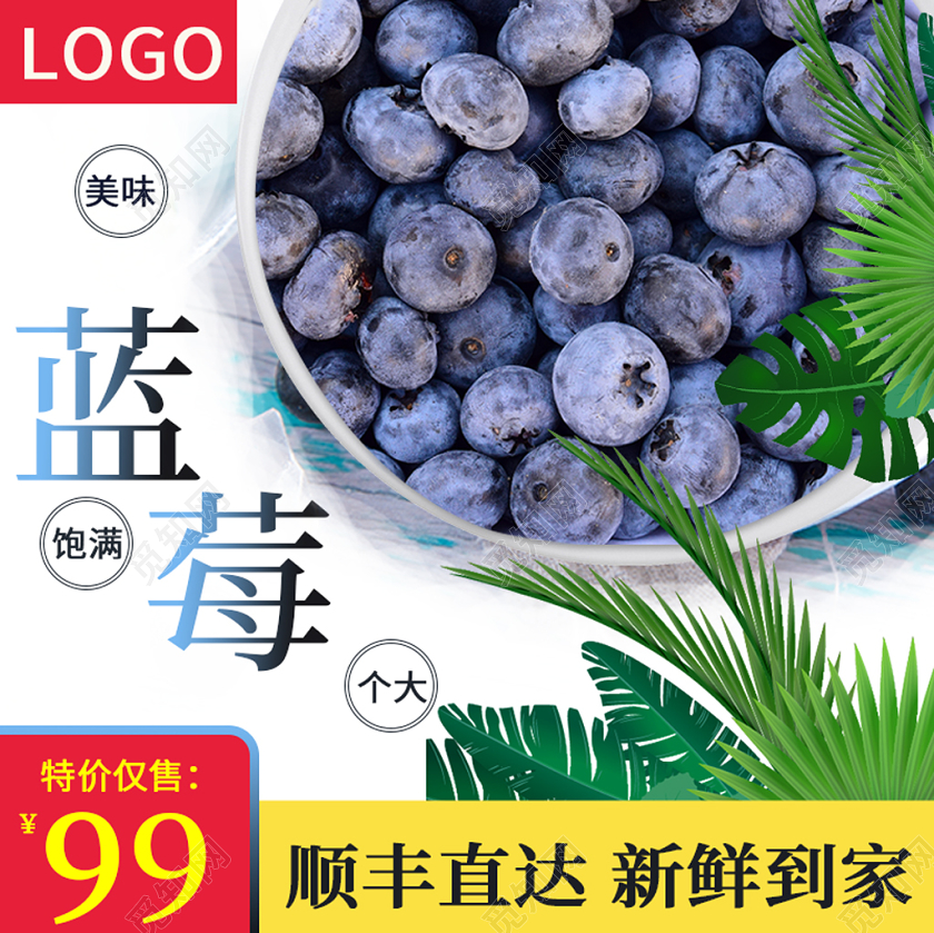 蓝色自然风主图框直通车促销活动蓝莓水果美食食物通用类主图