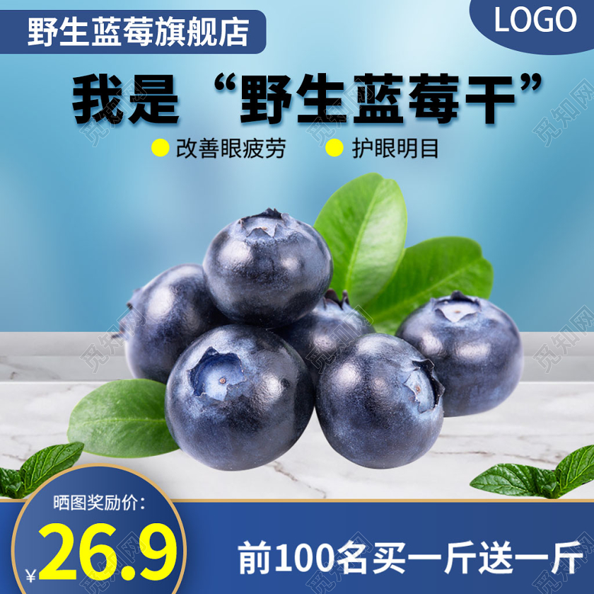 蓝色系清新风我是野生蓝莓干买一送一主图直通车促销活动